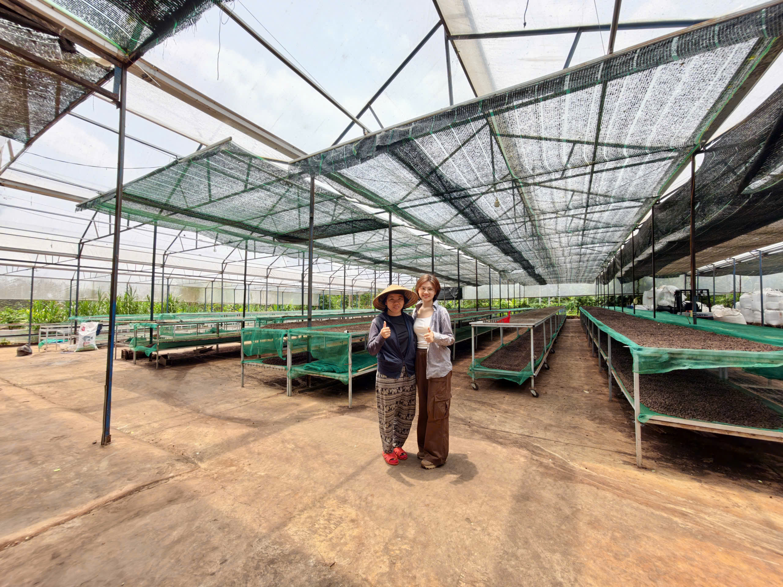 Các phương pháp sơ chế cà phê phổ biến: Đâu là loại “ngon” nhất?